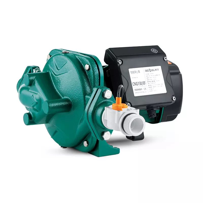 Pompa dell'acqua intelligente in linea